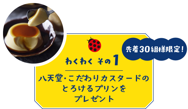 【わくわく その1】先着30組様限定!八天堂・こだわりカスタードのとろけるプリンをプレゼント