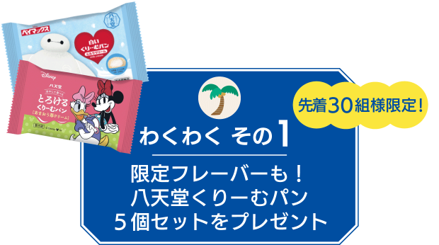 【わくわく その１】先着30組様・限定フレーバーも！八天堂くりーむパン５個セットをプレゼント