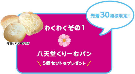 【わくわく その１】先着30組様・限定フレーバーも！八天堂くりーむパン５個セットをプレゼント
