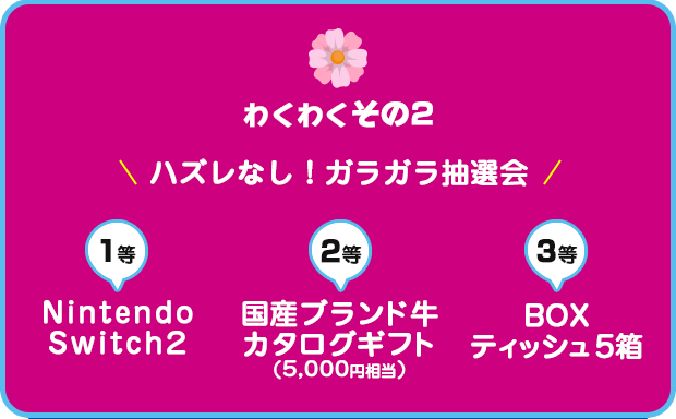 【わくわく その２】ハズレなし！ガラガラ抽選会 １等：NintendoSwitch２ ２等：国産ブランド牛カタログギフト（5,000円相当） ３等：トイレットペーパー