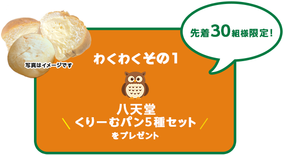 【わくわく その１】先着30組様・限定フレーバーも！八天堂くりーむパン５個セットをプレゼント