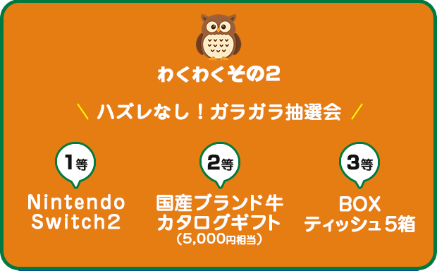 【わくわく その２】ハズレなし！ガラガラ抽選会 １等：NintendoSwitch２ ２等：国産ブランド牛カタログギフト（5,000円相当） ３等：トイレットペーパー