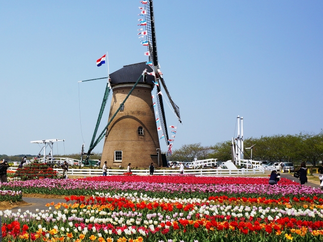 佐倉市のオランダ風車